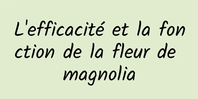 L'efficacité et la fonction de la fleur de magnolia