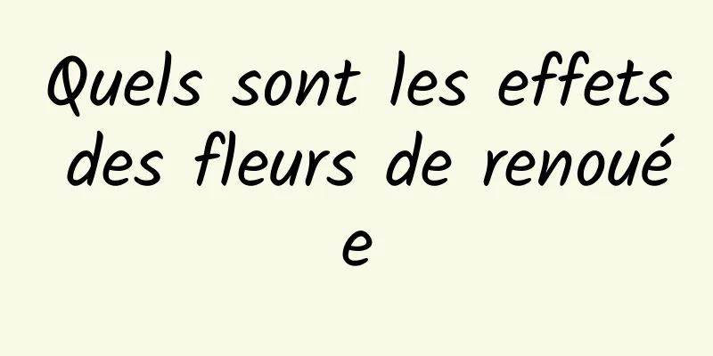 Quels sont les effets des fleurs de renouée