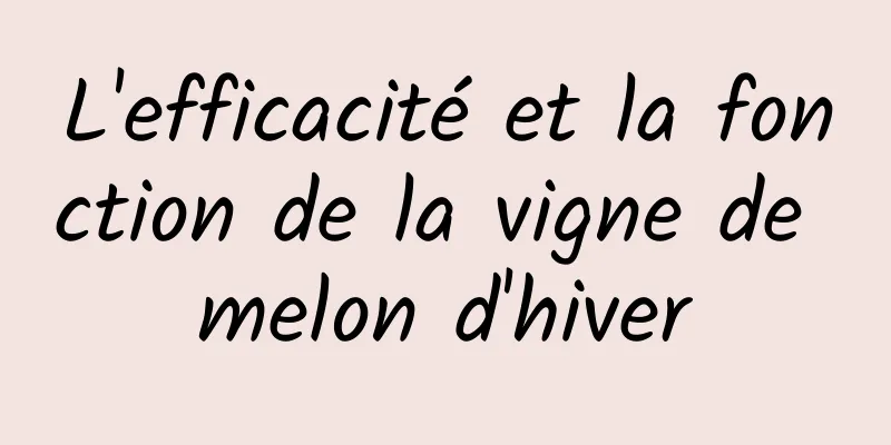 L'efficacité et la fonction de la vigne de melon d'hiver