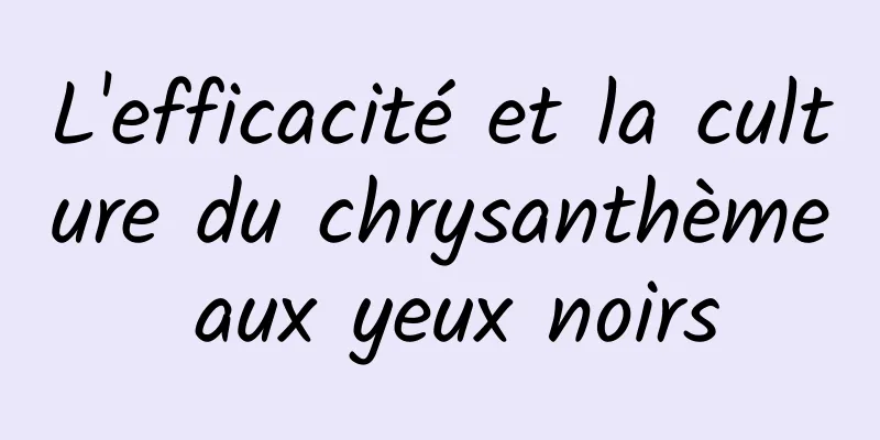 L'efficacité et la culture du chrysanthème aux yeux noirs