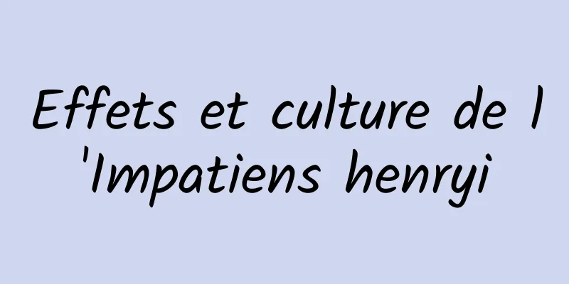 Effets et culture de l'Impatiens henryi