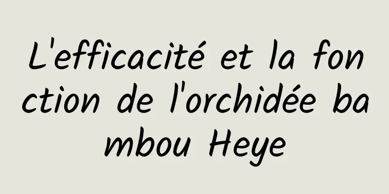 L'efficacité et la fonction de l'orchidée bambou Heye