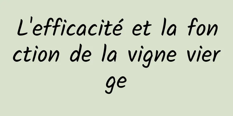 L'efficacité et la fonction de la vigne vierge