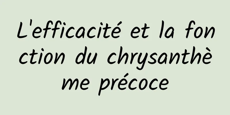 L'efficacité et la fonction du chrysanthème précoce