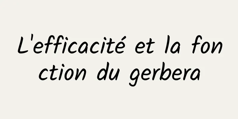 L'efficacité et la fonction du gerbera