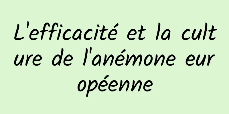 L'efficacité et la culture de l'anémone européenne