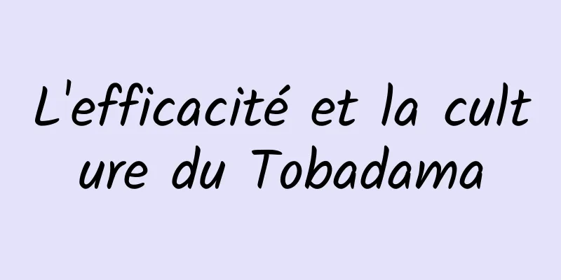 L'efficacité et la culture du Tobadama