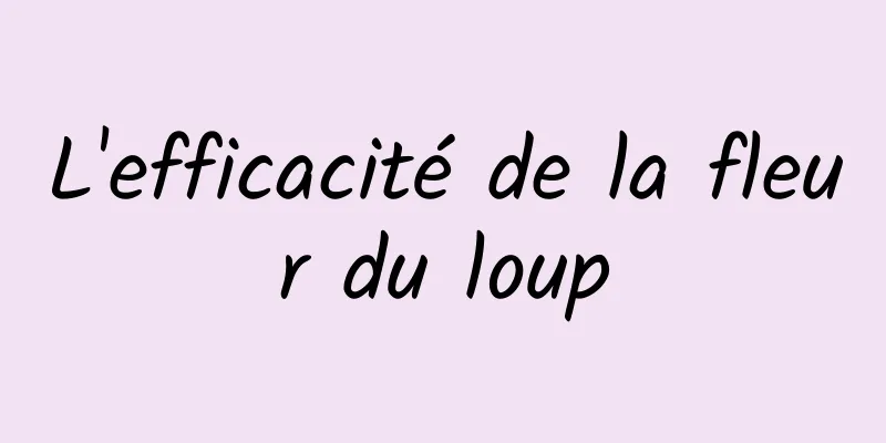 L'efficacité de la fleur du loup