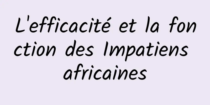 L'efficacité et la fonction des Impatiens africaines