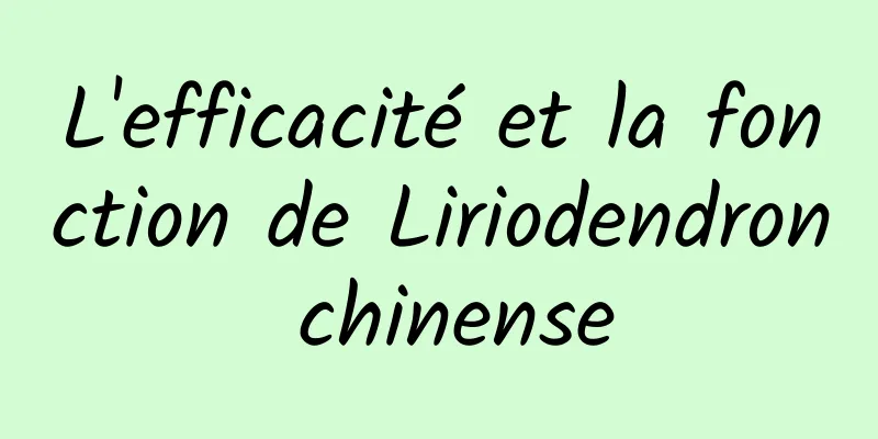 L'efficacité et la fonction de Liriodendron chinense