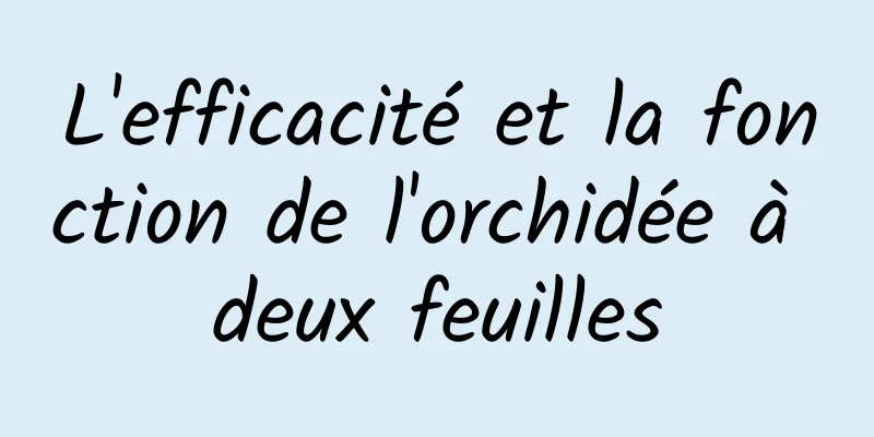 L'efficacité et la fonction de l'orchidée à deux feuilles