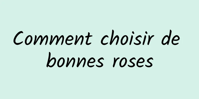 Comment choisir de bonnes roses