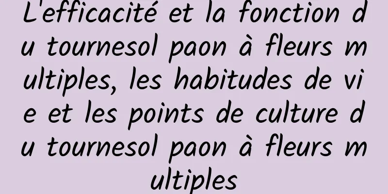 L'efficacité et la fonction du tournesol paon à fleurs multiples, les habitudes de vie et les points de culture du tournesol paon à fleurs multiples