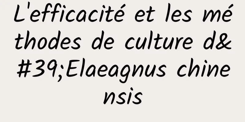 L'efficacité et les méthodes de culture d'Elaeagnus chinensis