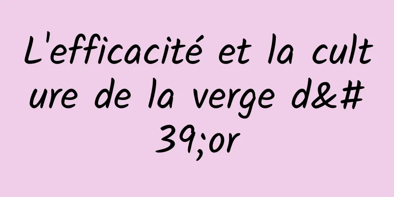 L'efficacité et la culture de la verge d'or