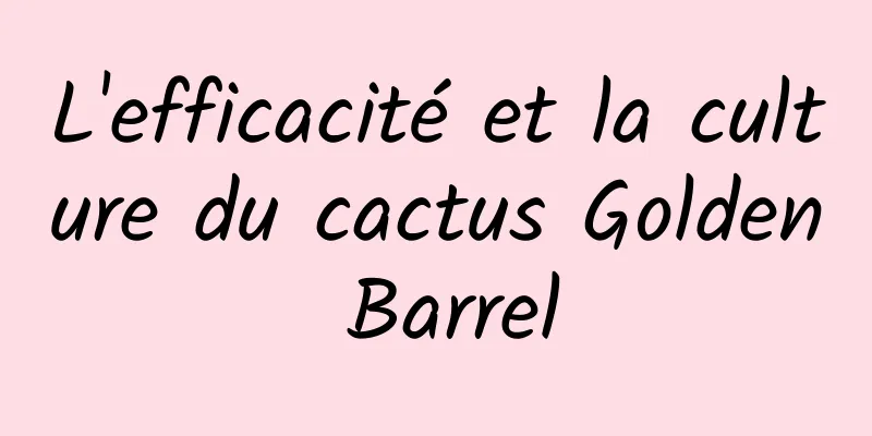 L'efficacité et la culture du cactus Golden Barrel