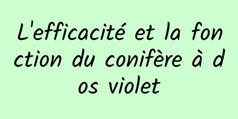 L'efficacité et la fonction du conifère à dos violet