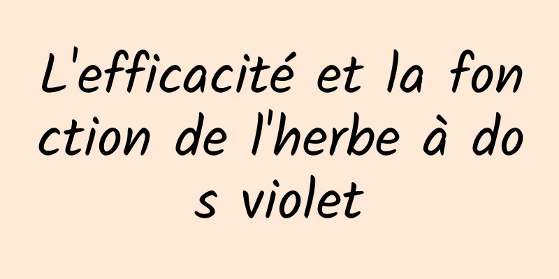 L'efficacité et la fonction de l'herbe à dos violet