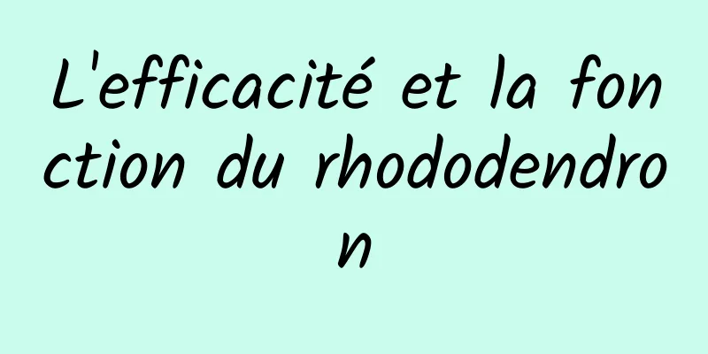 L'efficacité et la fonction du rhododendron