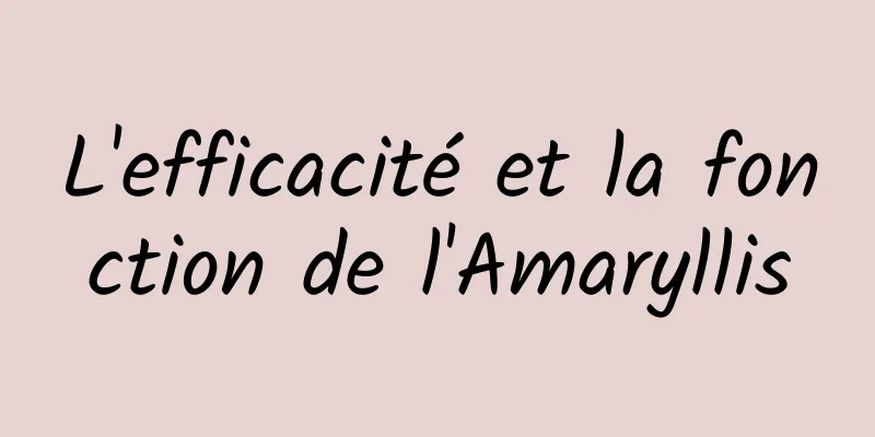 L'efficacité et la fonction de l'Amaryllis