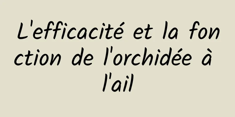 L'efficacité et la fonction de l'orchidée à l'ail