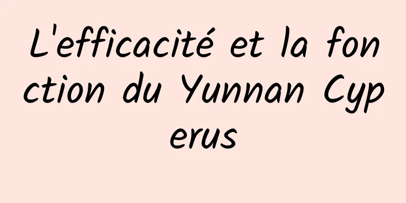 L'efficacité et la fonction du Yunnan Cyperus