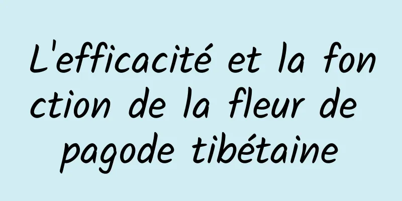 L'efficacité et la fonction de la fleur de pagode tibétaine