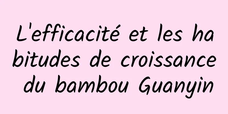 L'efficacité et les habitudes de croissance du bambou Guanyin