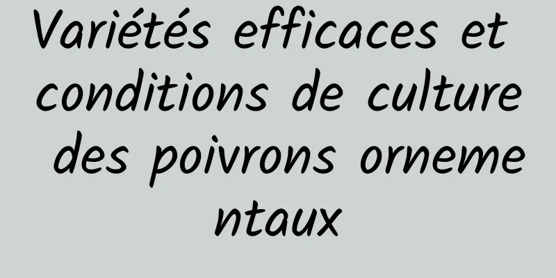 Variétés efficaces et conditions de culture des poivrons ornementaux