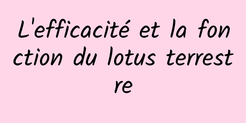 L'efficacité et la fonction du lotus terrestre