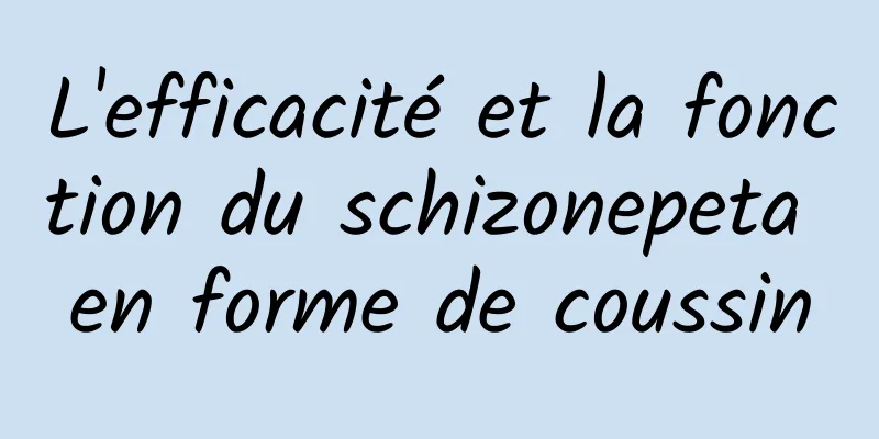 L'efficacité et la fonction du schizonepeta en forme de coussin