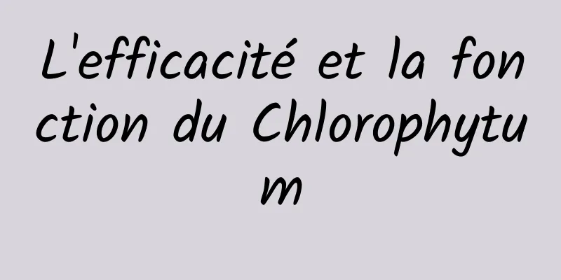 L'efficacité et la fonction du Chlorophytum