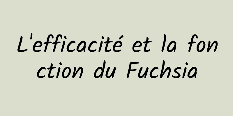 L'efficacité et la fonction du Fuchsia