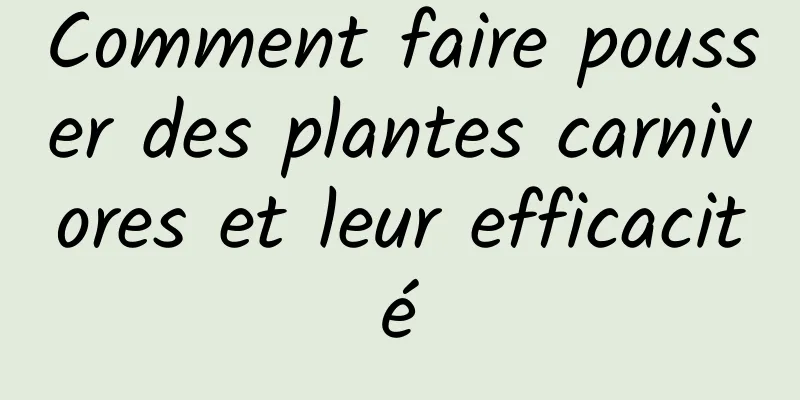 Comment faire pousser des plantes carnivores et leur efficacité