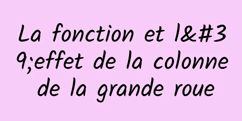 La fonction et l'effet de la colonne de la grande roue