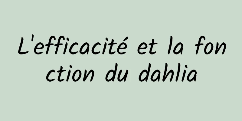 L'efficacité et la fonction du dahlia