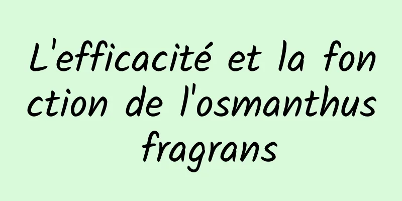 L'efficacité et la fonction de l'osmanthus fragrans