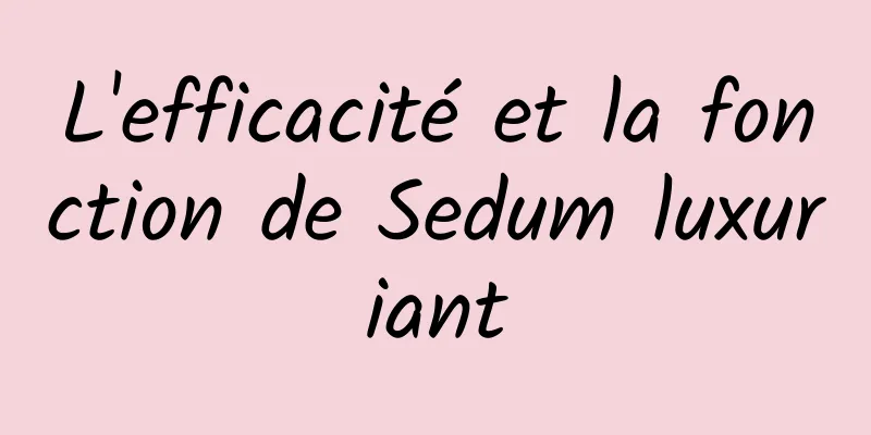 L'efficacité et la fonction de Sedum luxuriant