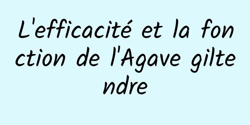 L'efficacité et la fonction de l'Agave giltendre