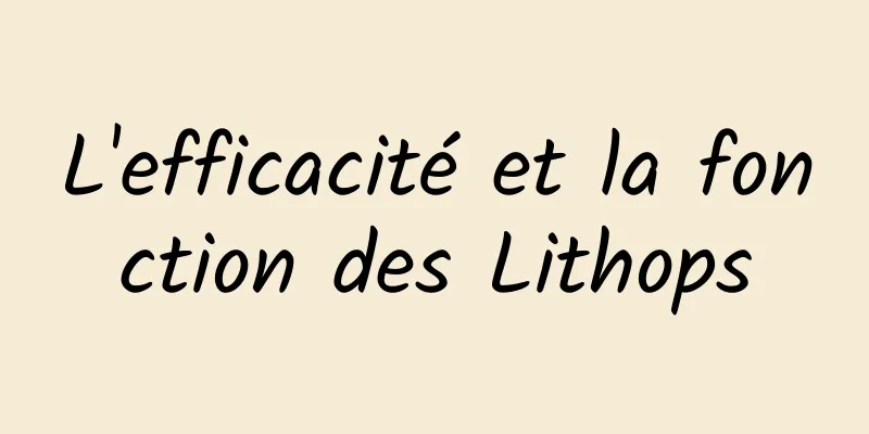 L'efficacité et la fonction des Lithops