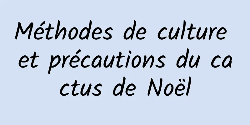 Méthodes de culture et précautions du cactus de Noël