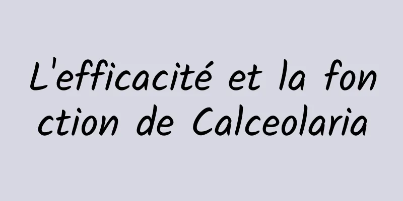 L'efficacité et la fonction de Calceolaria