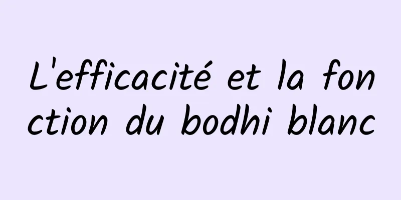 L'efficacité et la fonction du bodhi blanc