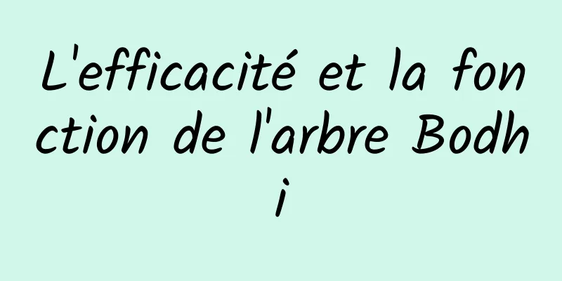 L'efficacité et la fonction de l'arbre Bodhi