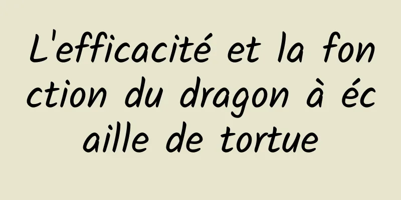 L'efficacité et la fonction du dragon à écaille de tortue