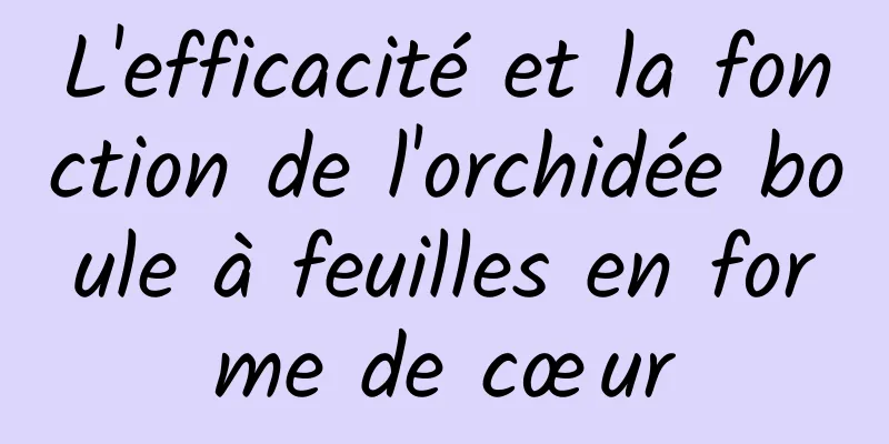 L'efficacité et la fonction de l'orchidée boule à feuilles en forme de cœur