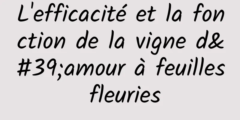 L'efficacité et la fonction de la vigne d'amour à feuilles fleuries