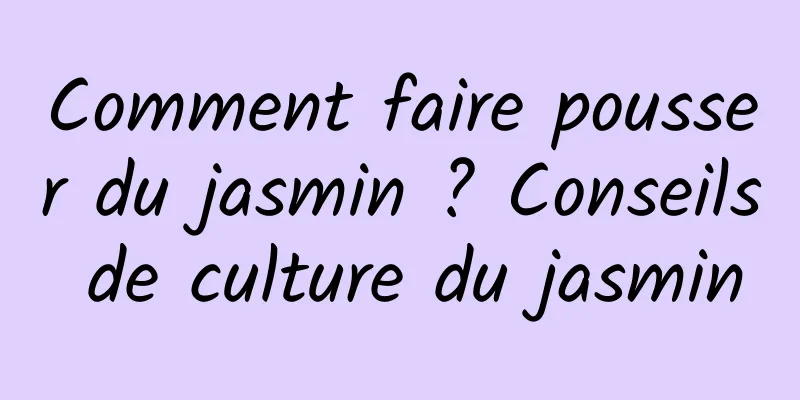 Comment faire pousser du jasmin ? Conseils de culture du jasmin