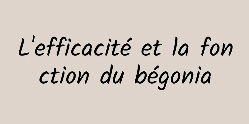 L'efficacité et la fonction du bégonia