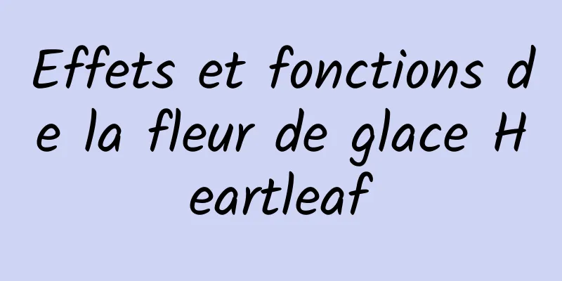 Effets et fonctions de la fleur de glace Heartleaf